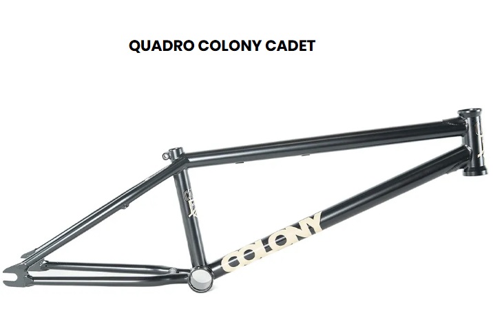 QUADRO COLONY CADET 19.20 - 20.40 ou 20.70 PRETO