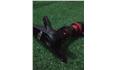 PEDIVELA GT BMX RACING  ALUMINIO 180MM  — foto 3