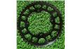 COROA IMPACT UFO ( BY IMPACT ) 47 DENTES 4 FUROS BCD 104MM BMX RAING — foto 3