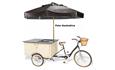 FOOD BIKE CAIXA TRASEIRA COM FREEZER  — foto 1